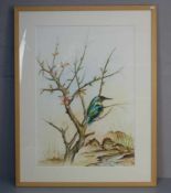 TRÜMPER, FRANZ (geb. 1941 in Gronau, lebt in Enschede, NL): Aquarell / watercolour: "Eisvogel".