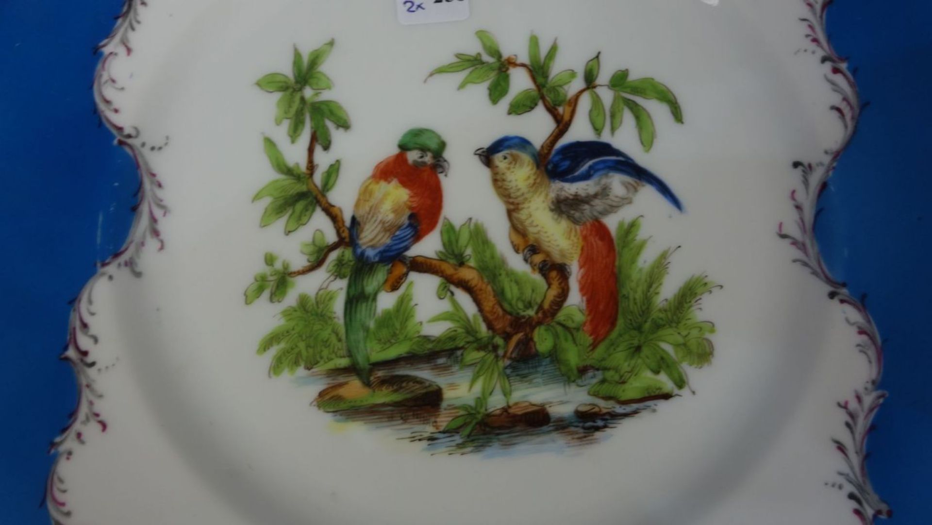 PAAR TELLER MIT PAPAGEIENMOTIV / ZIERTELLER / two porcelain plates with parrots, Porzellan, wohl - Bild 3 aus 5