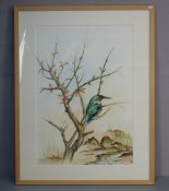 TRÜMPER, FRANZ (geb. 1941 in Gronau, lebt in Enschede, NL): Aquarell / watercolour: "Eisvogel". Auf