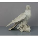 PORZELLANFIGUR: "Adler" / porcelain figure 'eagle', Weissporzellan, Manufaktur Wilhelm Rittirsch in