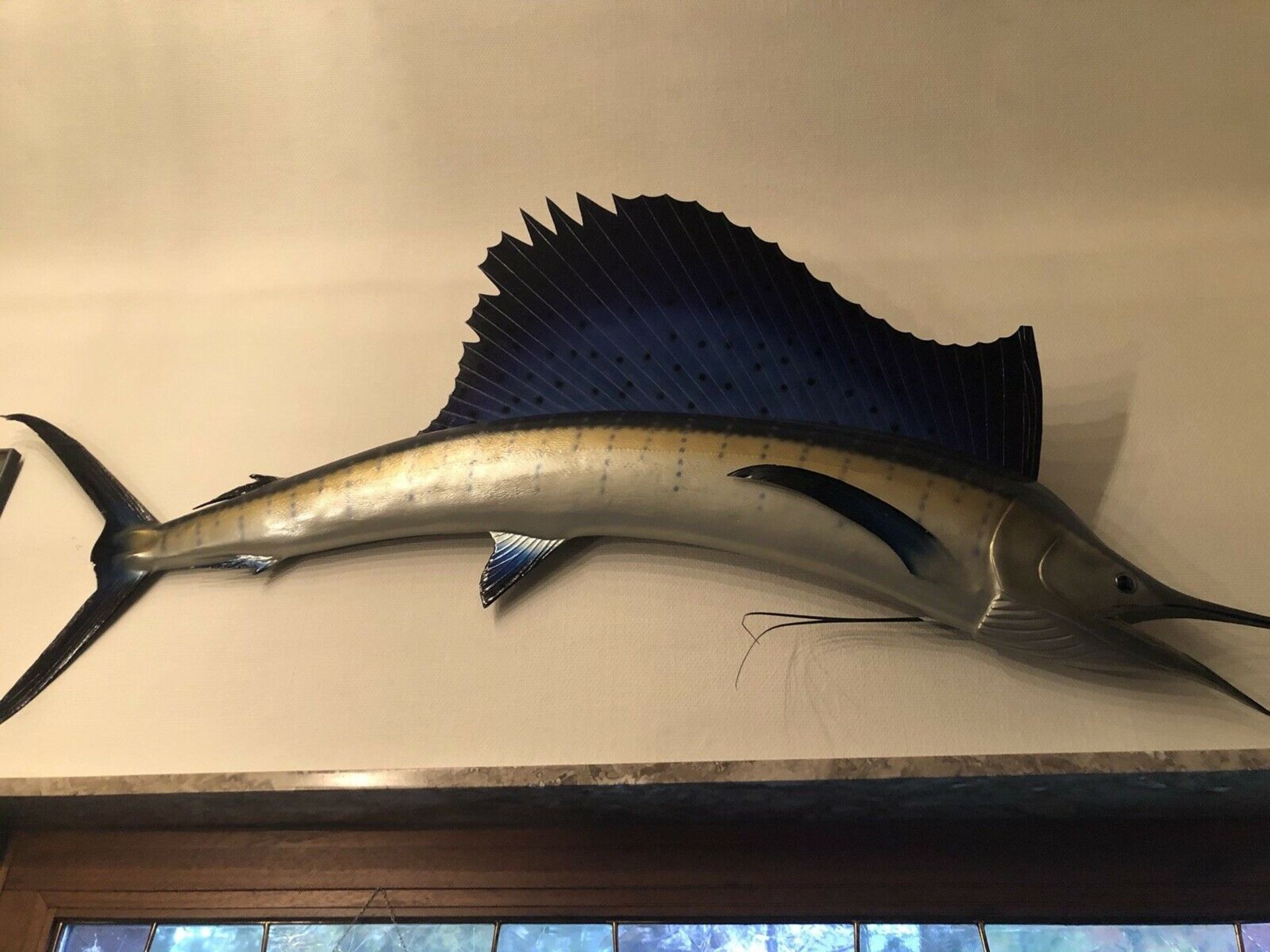 Präparat eines Segelfisches/ Fächerfisch, Blue Marlin. - Bild 6 aus 6