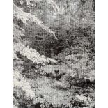 Yuasa, Katsutoshi (*1978) "Snapshot" 2008, wood print, 80x60cm, Griffelkunst