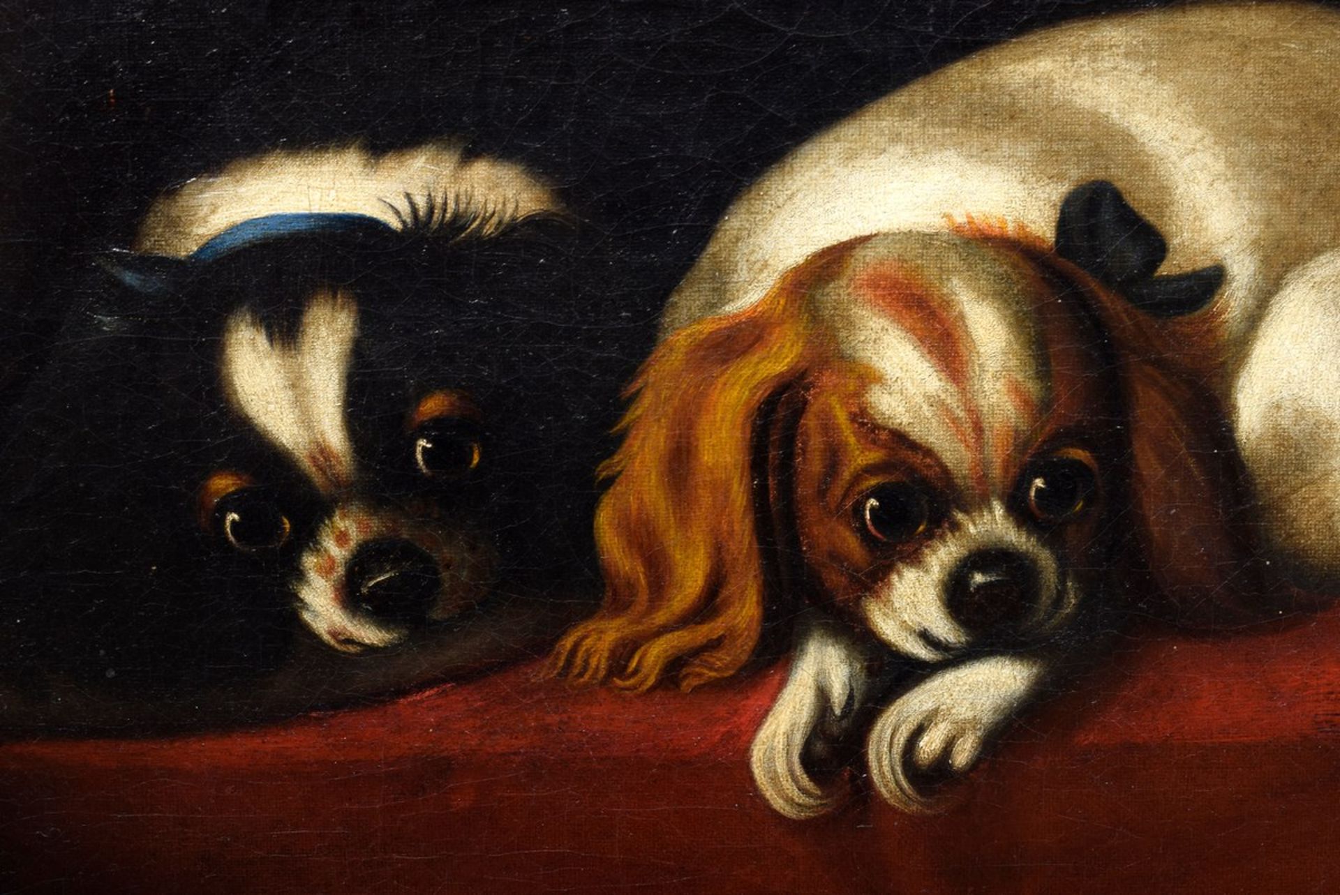 Unbekannter Künstler des 19. Jh. „Zwei Schoßhunde (Cavalier King Charles Spaniel)", Öl/Leinwand, - Bild 3 aus 5
