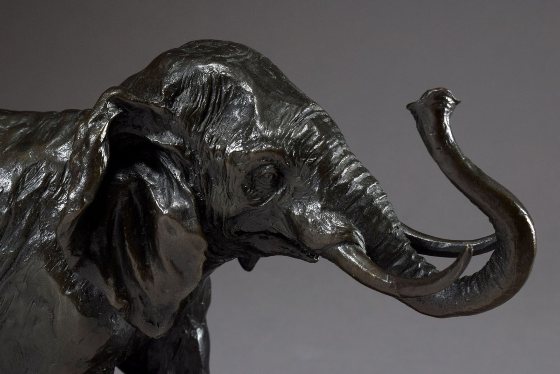 Bronze Figur "Elefant" auf Marmorsockel, sign. "Coreira", 20.Jh., 26x30cm - Bild 5 aus 6