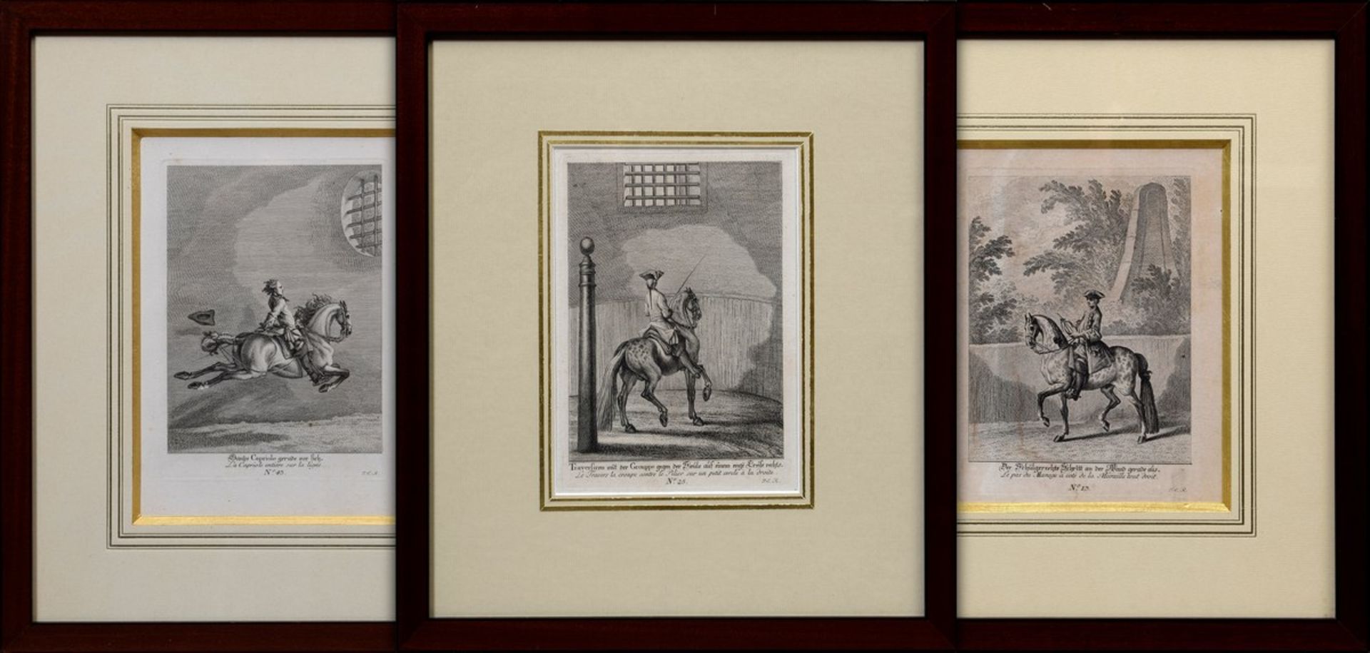 3 Diverse Riedinger, Johann Elias (1698-1767) "Die kleine Reitschule" 1760, Blatt 13, 25 und 43,