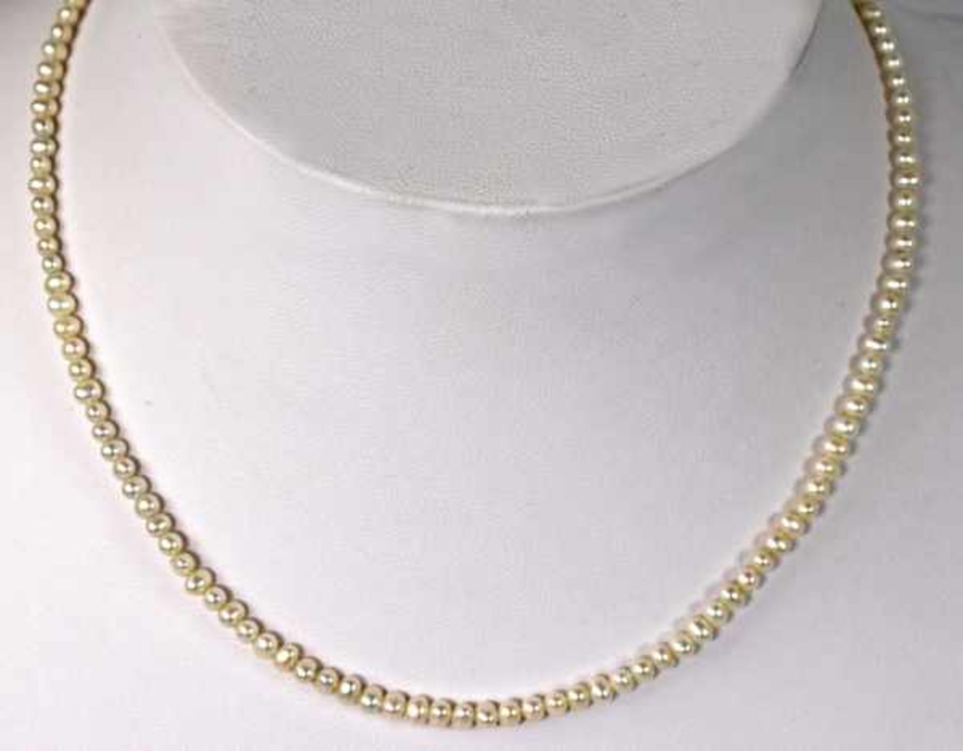 FEINE PERLENKETTE kleine Perlen mit ovalem Goldverschluß 14ct, L 42cm und Paar Ohrstecker mit - Bild 3 aus 3
