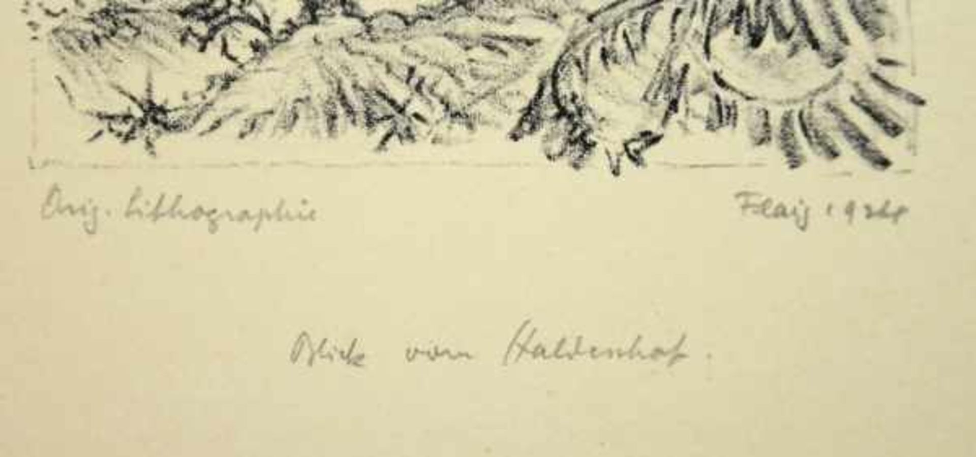FLAIG Waldemar (1892-1932 Villingen) "Blick vom Haldenhof", durch Wälder auf den Bodensee, - Bild 3 aus 3
