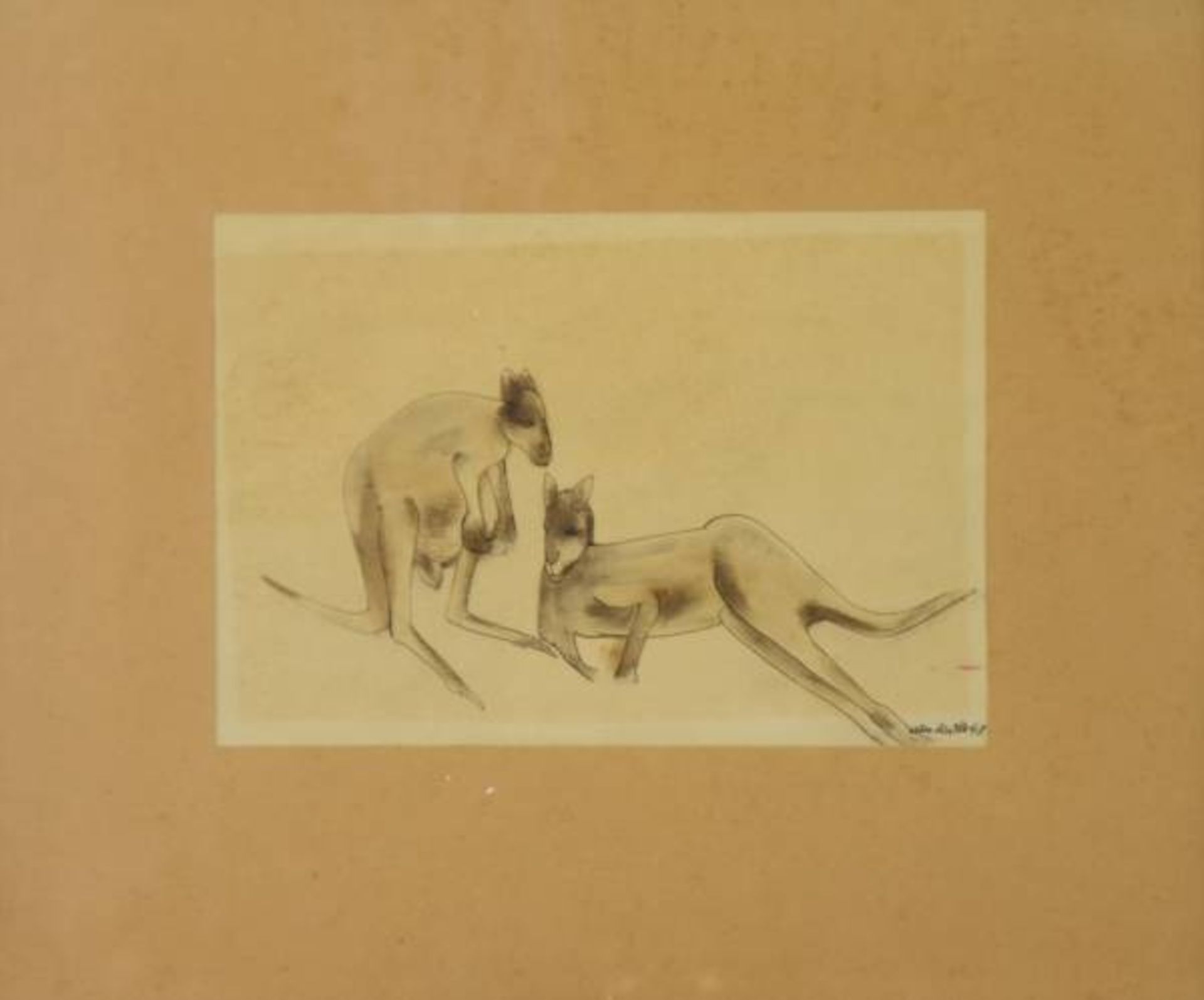 MÜLLER Otto (1898 Cröllwitz-1979 Merseburg) "Zwei Kängurus", Tuschezeichnung, rechts untenMÜLLER - Bild 2 aus 4