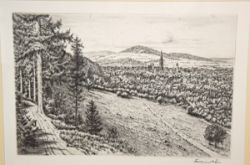 DÖRR Ferdinand "Blick auf Freiburg", Radierung