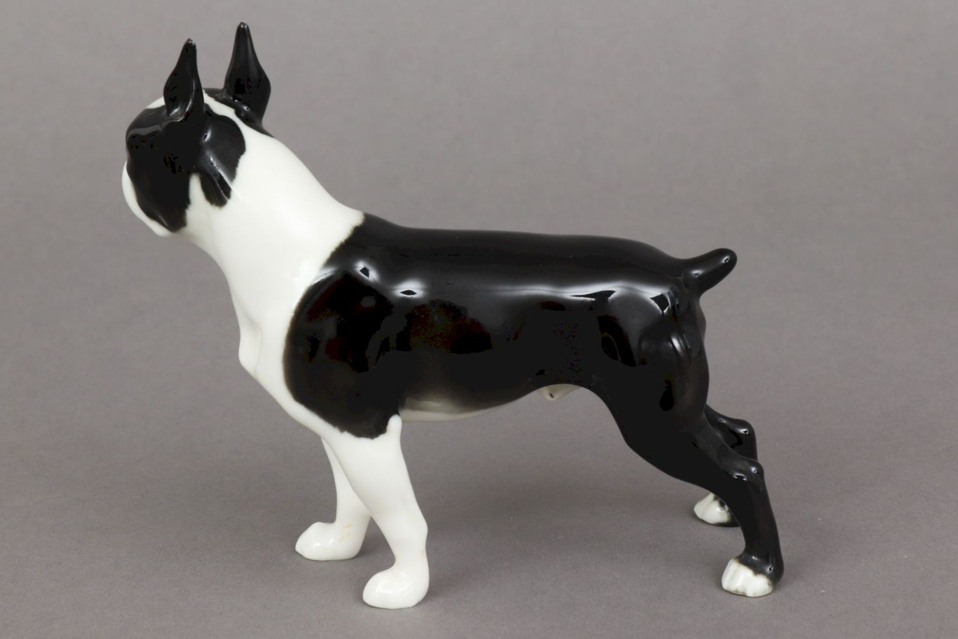 HUTSCHENREUTHER Porzellanfigur ¨Boston Terrier¨um 1920, Entwurf CARL WERNER, schwarz-weiß gl - Bild 2 aus 5