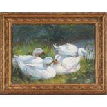 FRANZ XAVER GRÄSSEL (1861 Obersasbach - 1948 Emmering)Öl auf Pappe, ¨4 weiße Enten an Teich