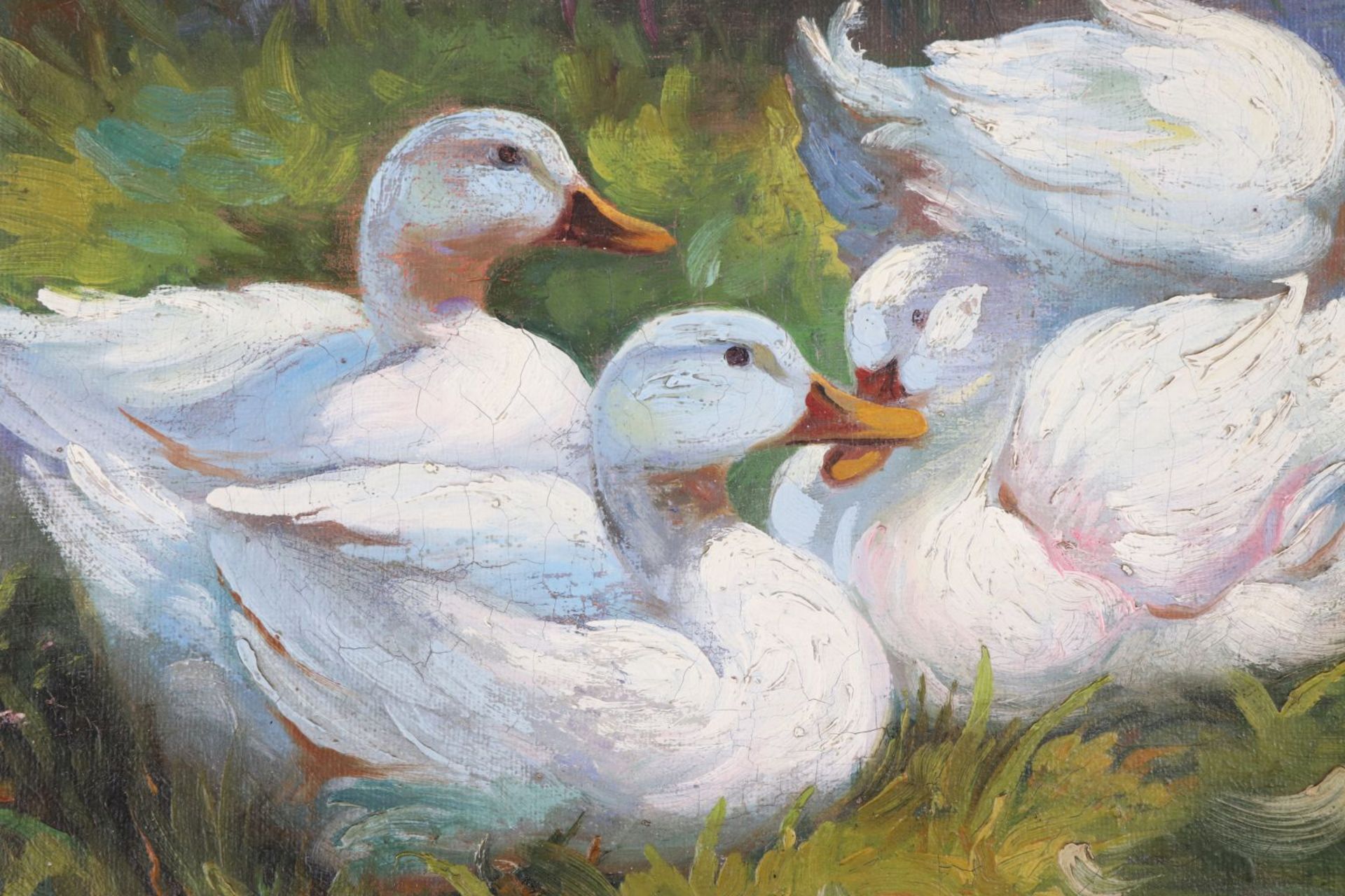 FRANZ XAVER GRÄSSEL (1861 Obersasbach - 1948 Emmering)Öl auf Pappe, ¨4 weiße Enten an Teich - Image 2 of 4