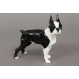 HUTSCHENREUTHER Porzellanfigur ¨Boston Terrier¨um 1920, Entwurf CARL WERNER, schwarz-weiß gl