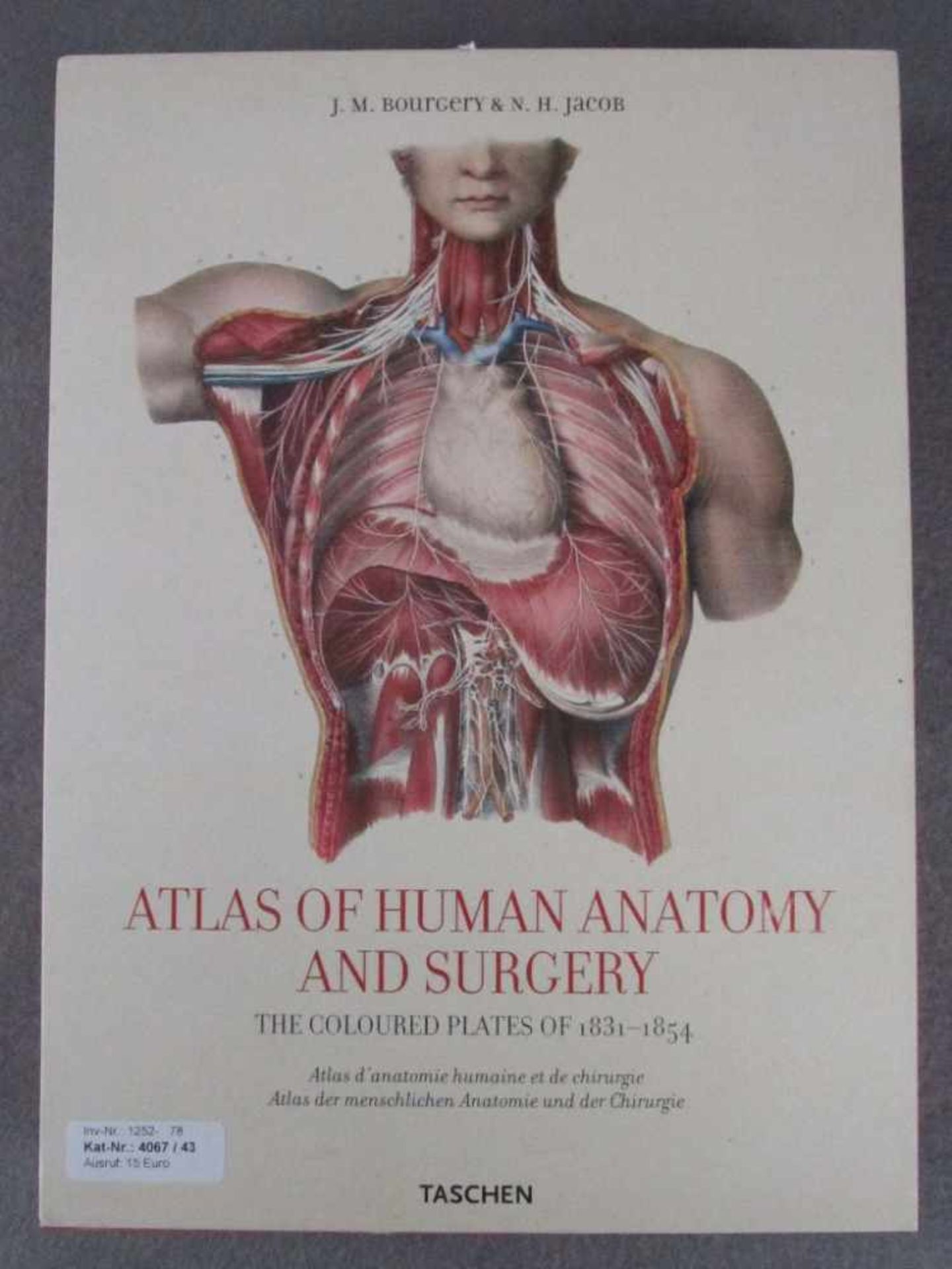 Großes Buch Atlas der Anatomie viele Plates im Schuber<