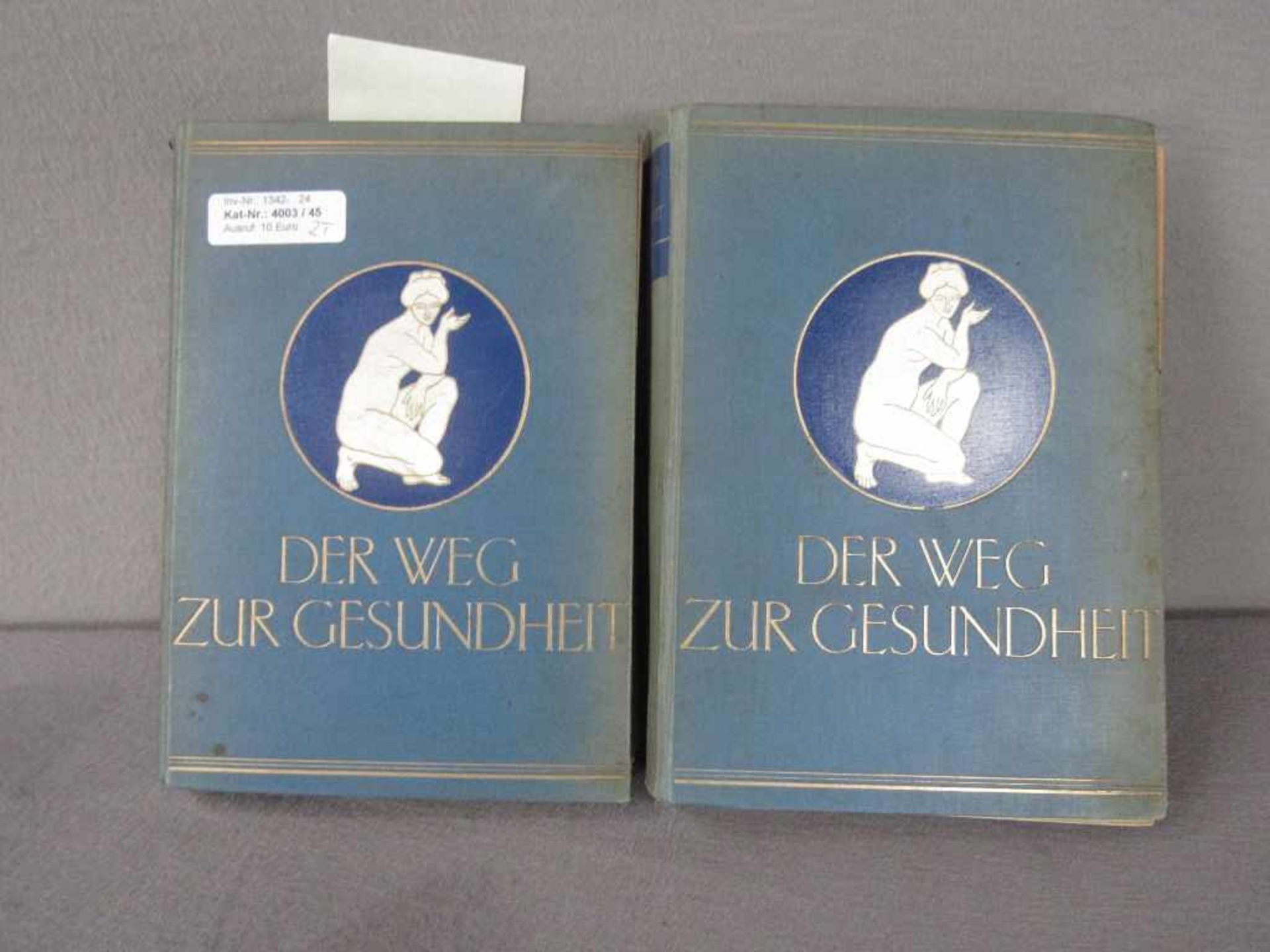 Zwei Bücher antik der Weg zur Gesundheit mit schönen ausklappbaren Lithografien