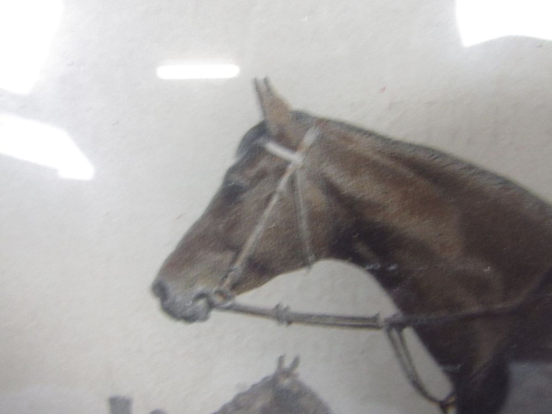 Antike Grafik Jockey auf Pferd 29x22cm - Image 2 of 4