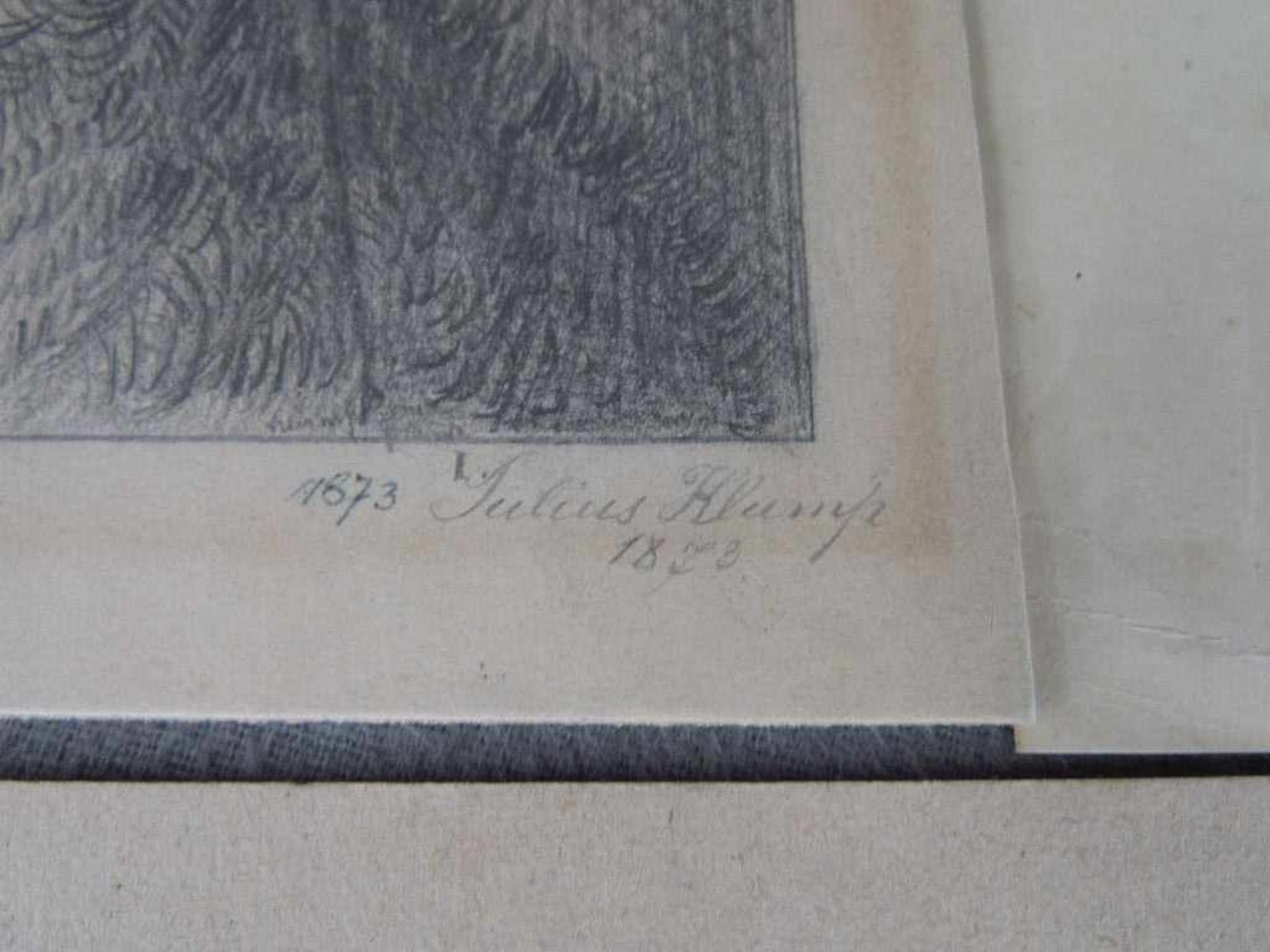 Konvolut: 3 Zeichnungen von Hunden u.a. Julius Klump 1873? 19./20 Jhdt. teilweise signiert - Bild 4 aus 5