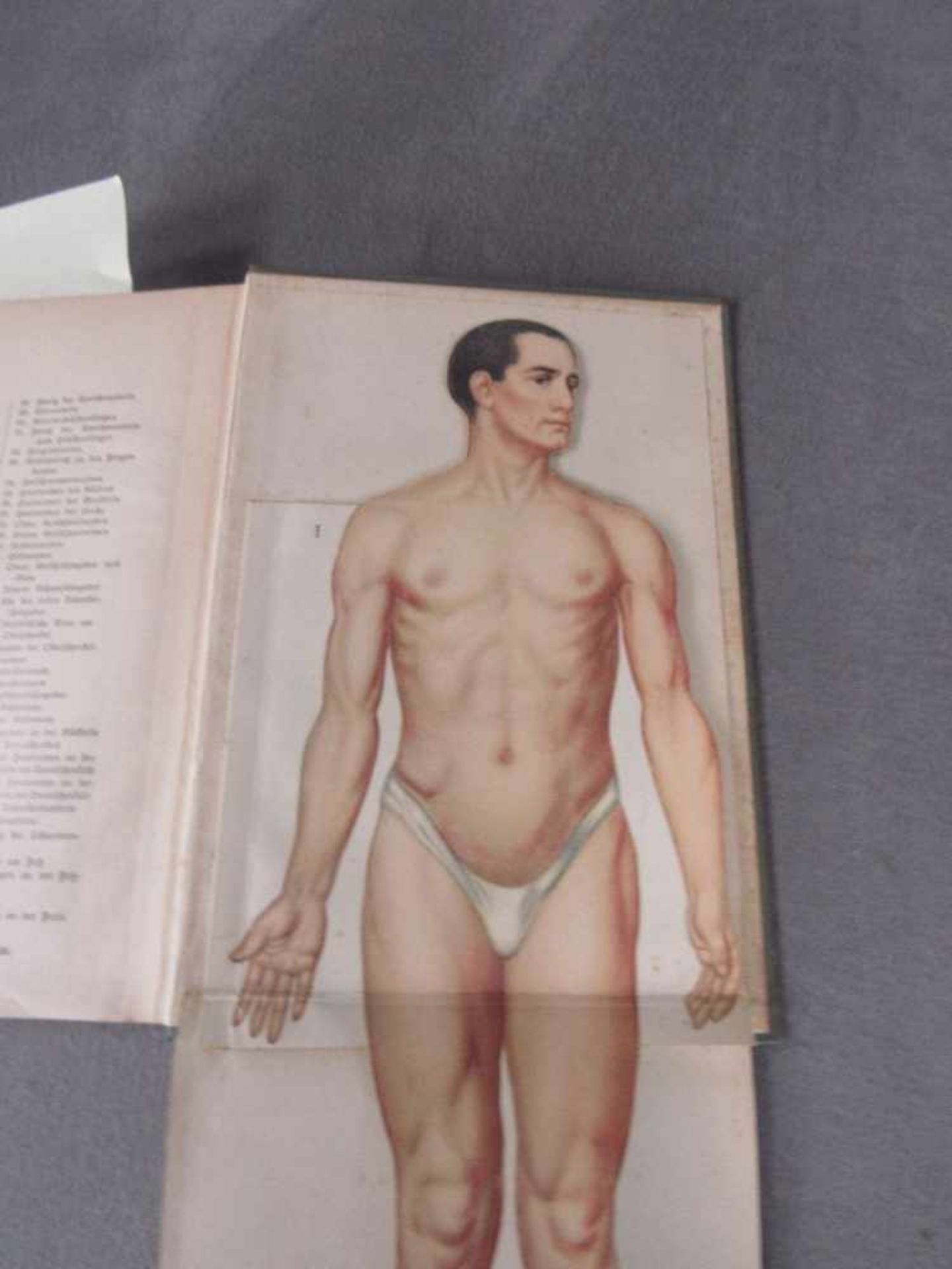 Zwei Bücher antik der Weg zur Gesundheit mit schönen ausklappbaren Lithografien - Bild 3 aus 3