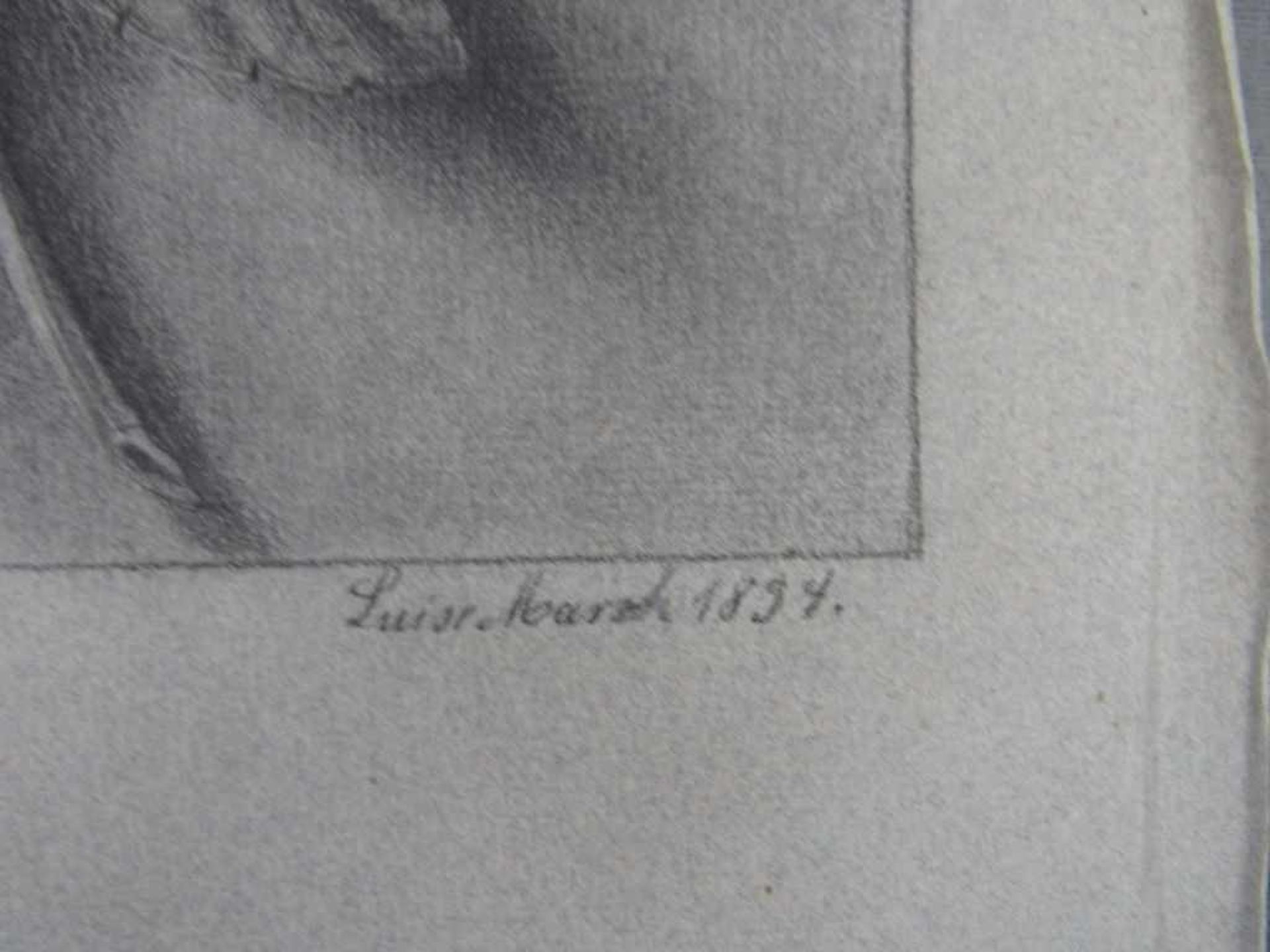 Konvolut: 15 Zeichnungen/Aquarelle von Pflanzen und Bäumen u.a. Felix Grünewald 1850 19./20 Jhdt. - Bild 7 aus 7
