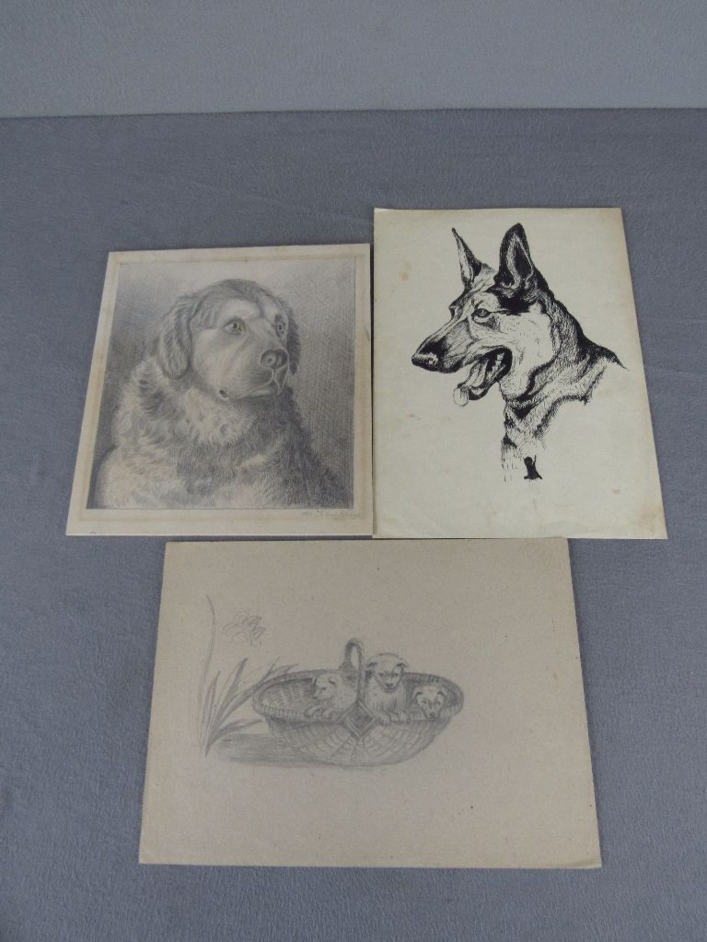 Konvolut: 3 Zeichnungen von Hunden u.a. Julius Klump 1873? 19./20 Jhdt. teilweise signiert