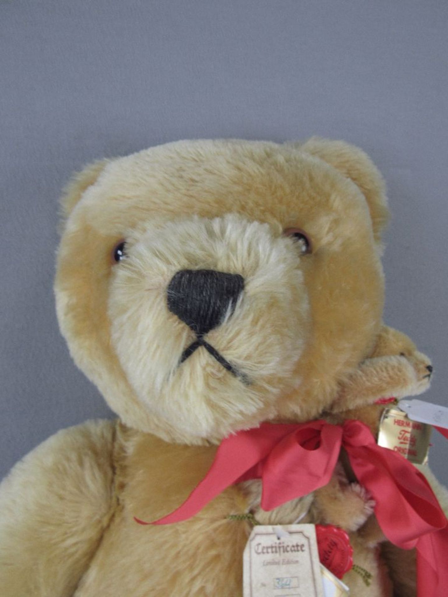 Großer Teddybär Hermann unbespieltes Vitrinenstück Höhe:80cm + Beigabe kleiner Hermann Teddy - Image 4 of 6