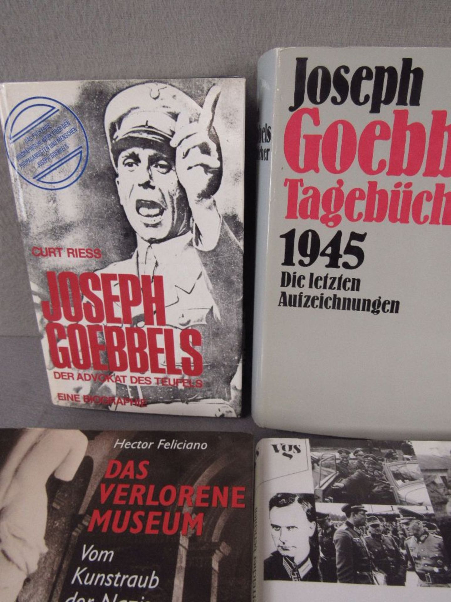 8 Bücher 2.WK Goebbels 3. Reich usw. - Image 2 of 4