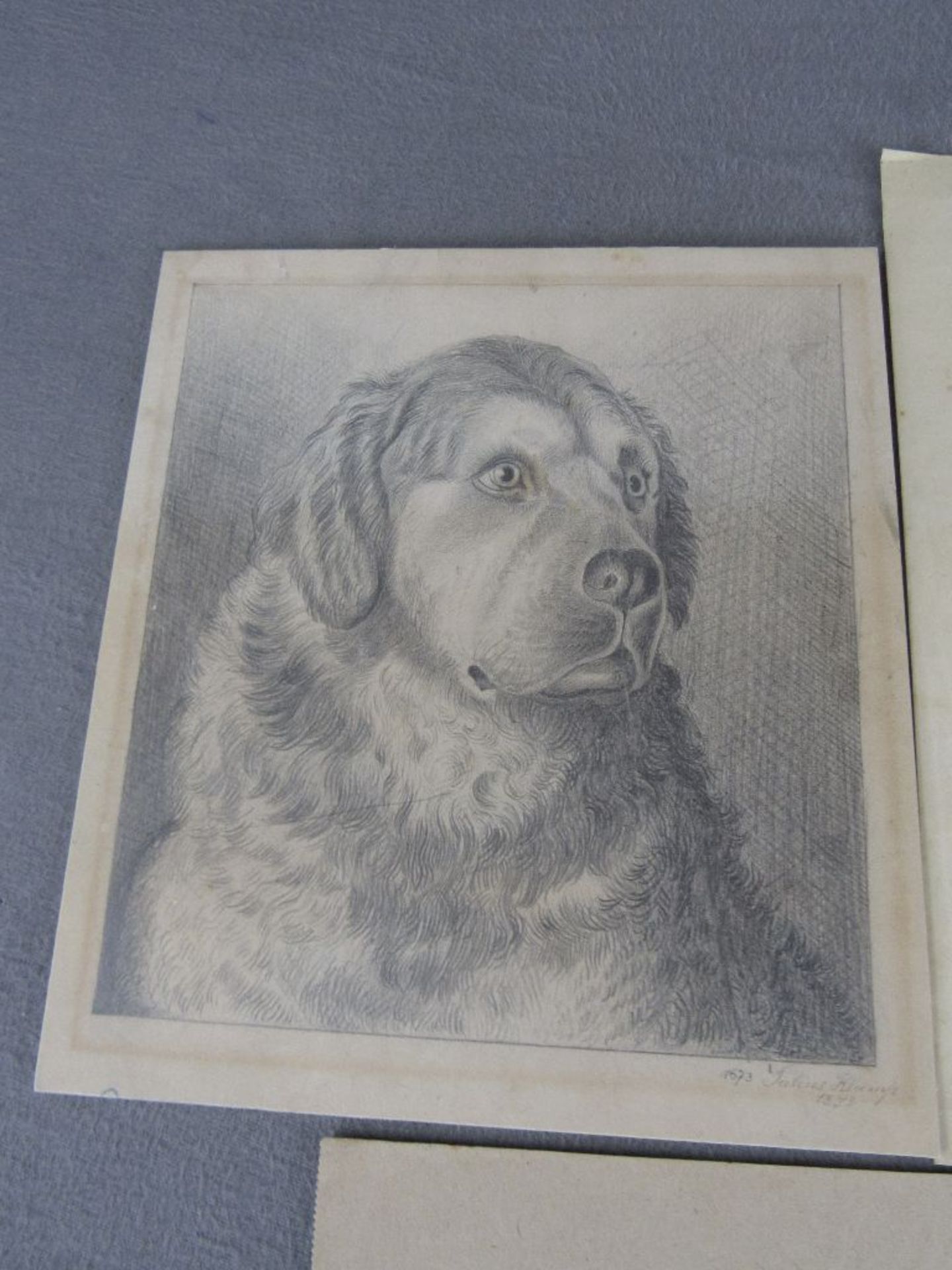 Konvolut: 3 Zeichnungen von Hunden u.a. Julius Klump 1873? 19./20 Jhdt. teilweise signiert - Bild 3 aus 5