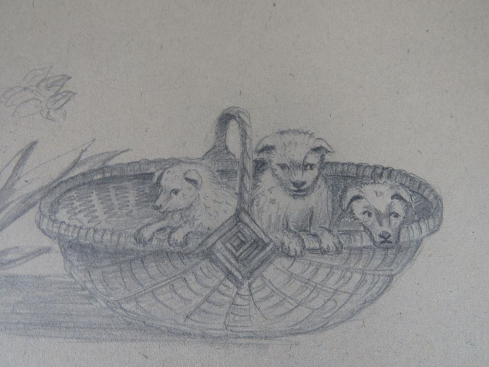 Konvolut: 3 Zeichnungen von Hunden u.a. Julius Klump 1873? 19./20 Jhdt. teilweise signiert - Image 2 of 5