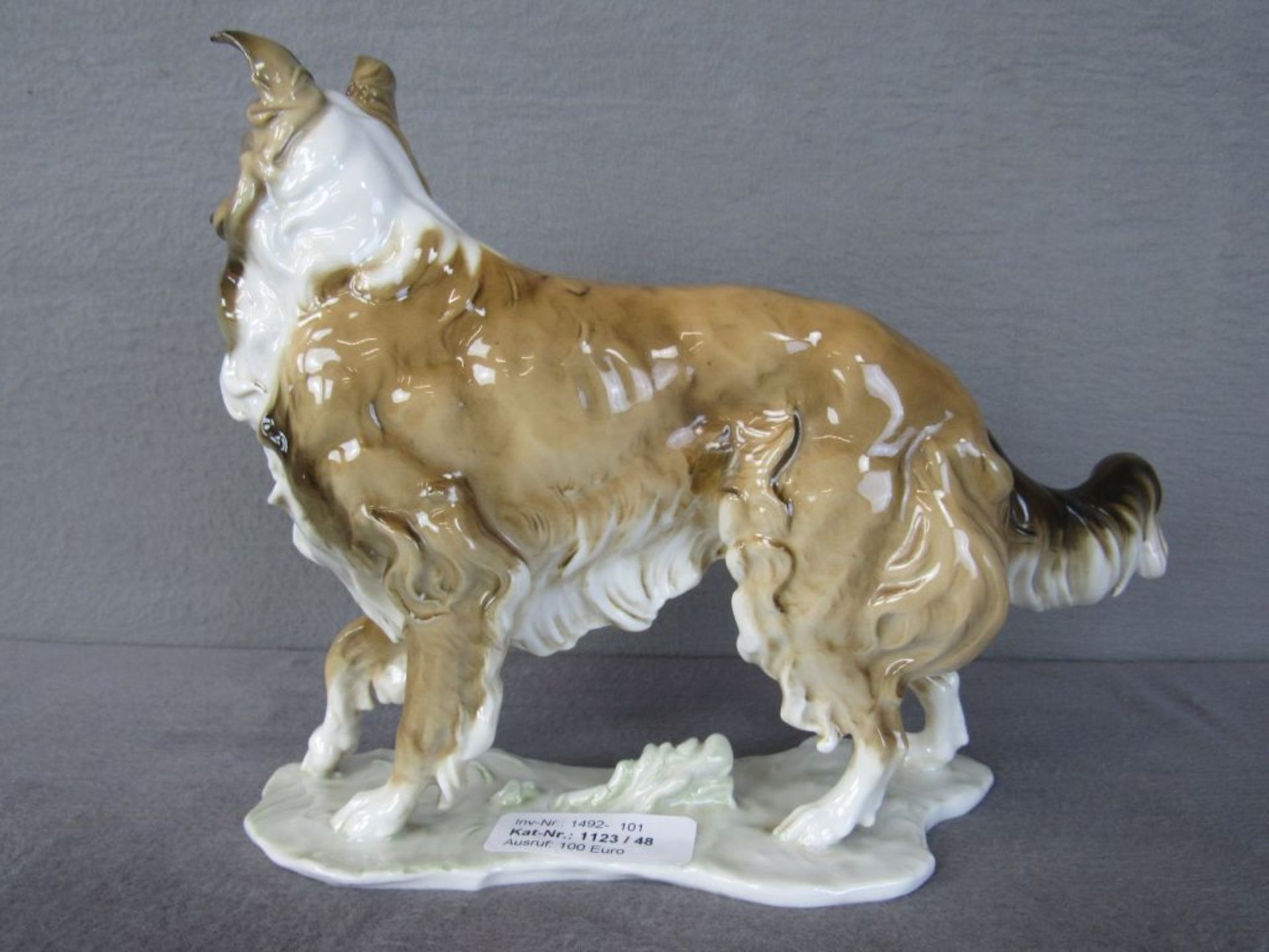 Porzellanfigur Hund Collie 24cm hoch Entwurf Hans Achtziger - Bild 3 aus 7