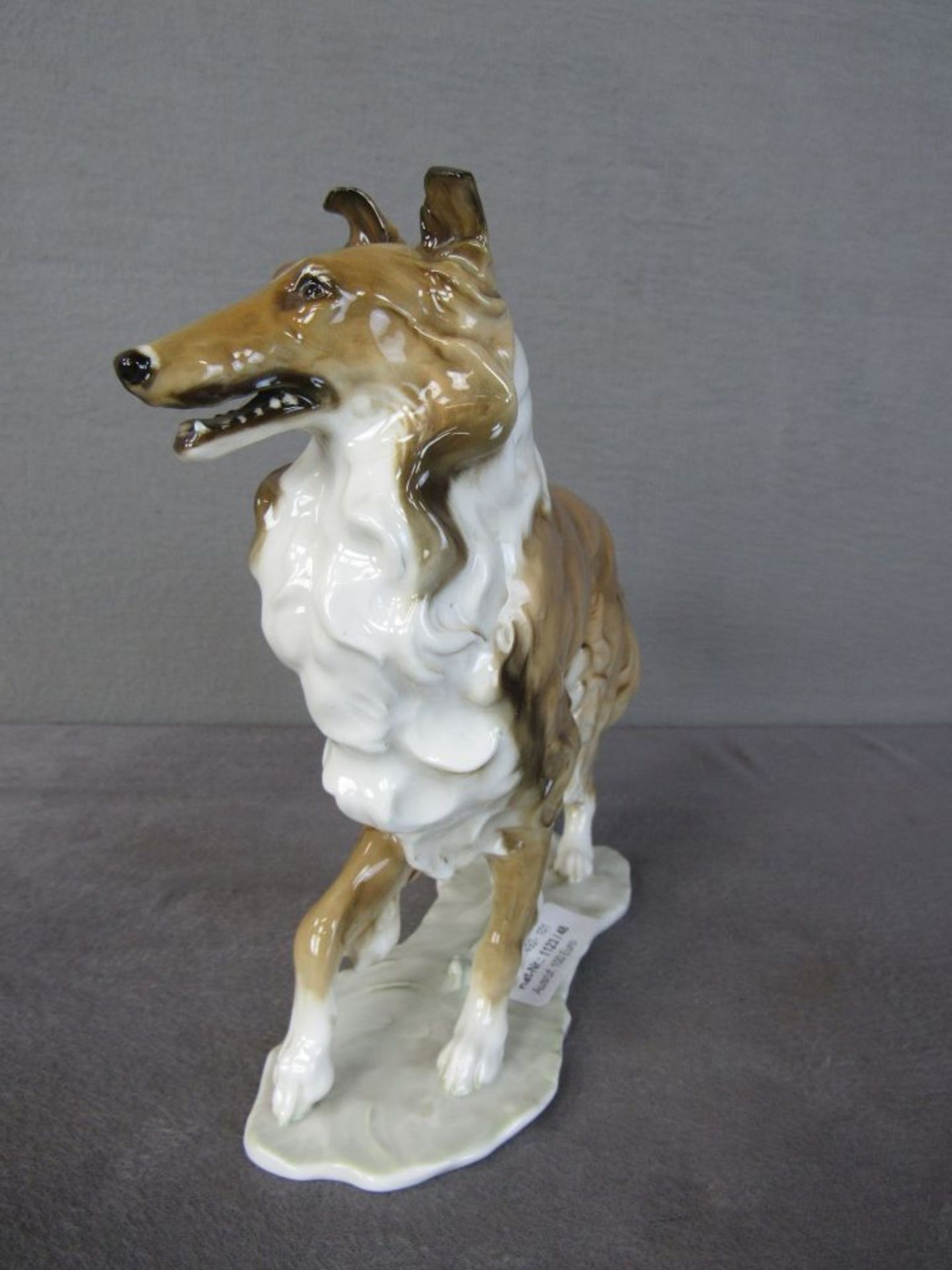 Porzellanfigur Hund Collie 24cm hoch Entwurf Hans Achtziger - Bild 5 aus 7