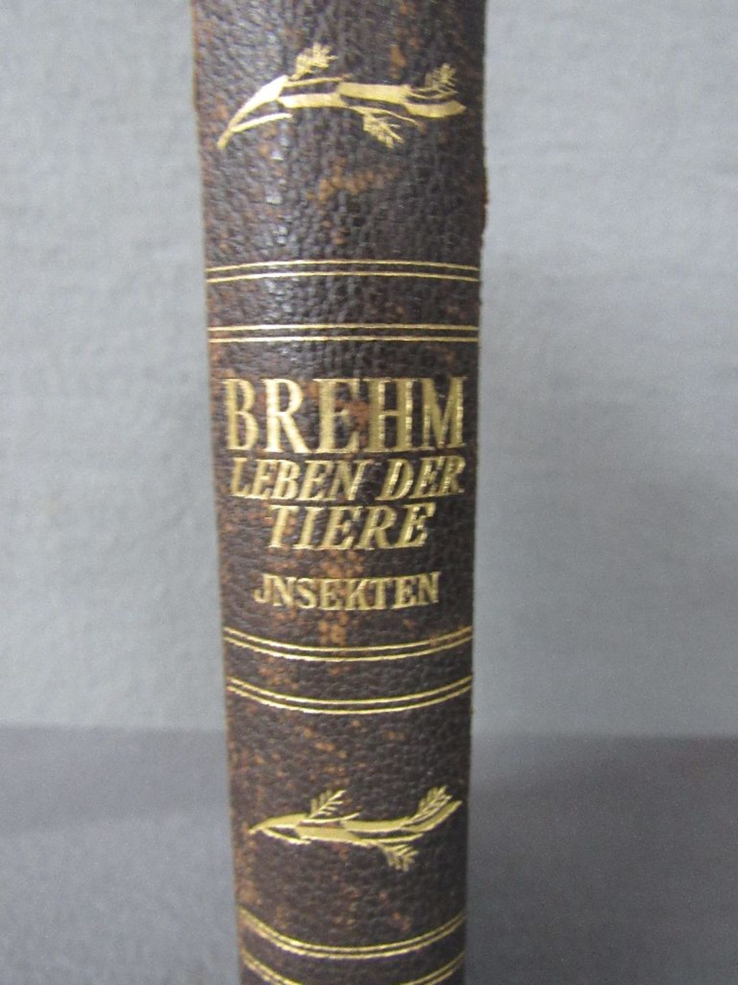 Buch Brehms Tierleben - Bild 3 aus 5