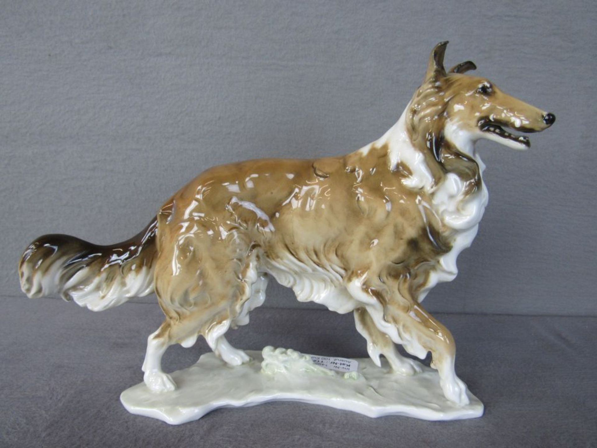 Porzellanfigur Hund Collie 24cm hoch Entwurf Hans Achtziger