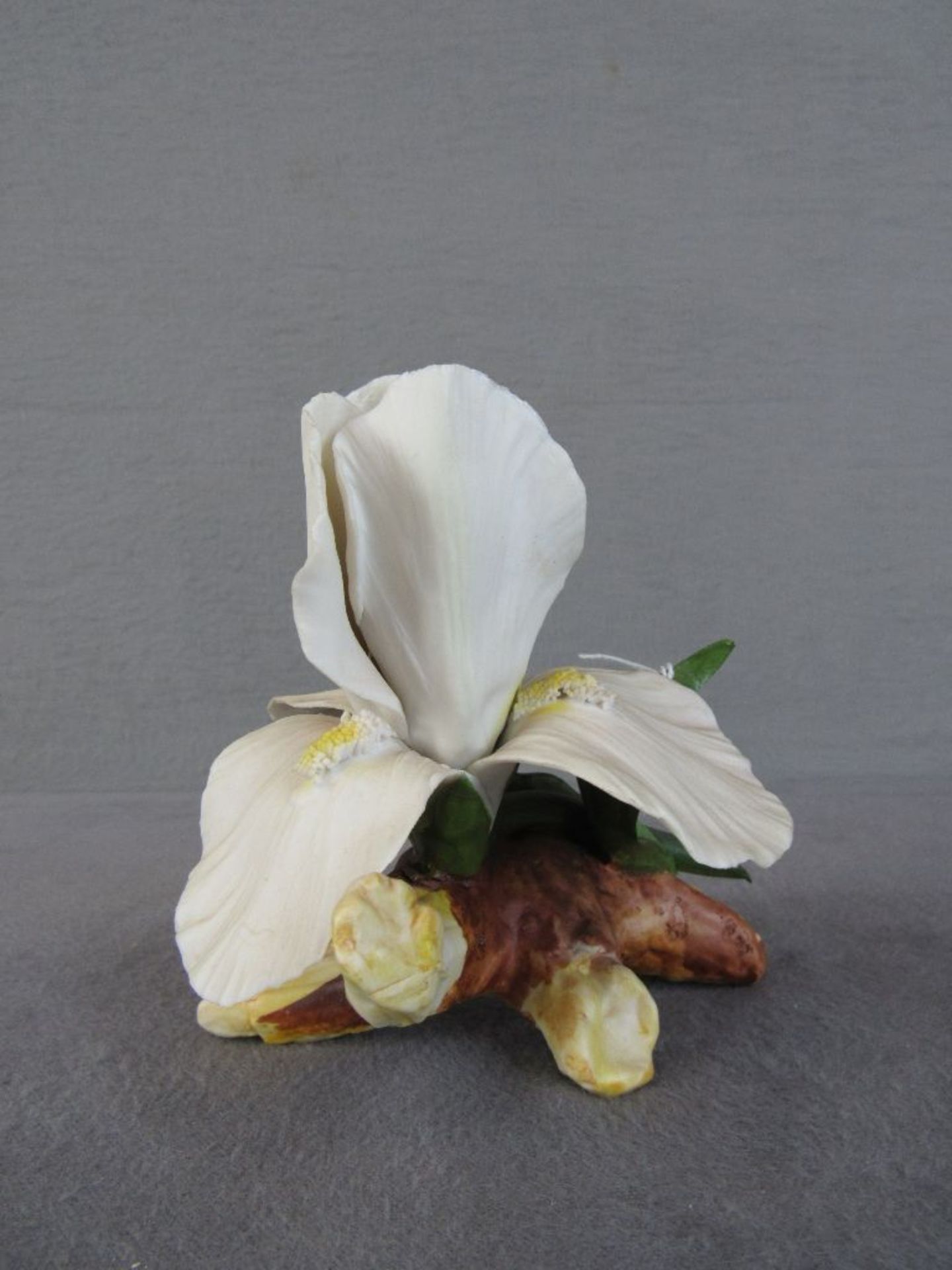 Skulptur Blume sehr deteil getreu gearbeitet Bisquitporzellan minimale Beschädigungen können