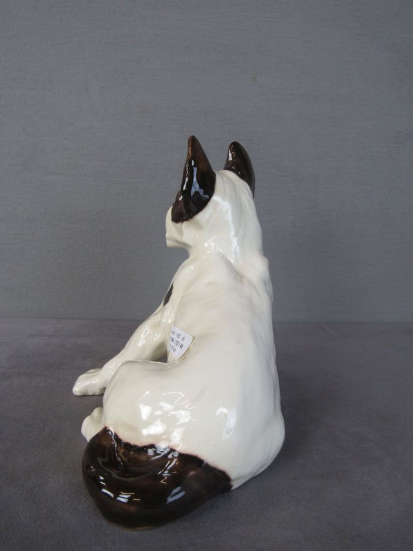 Porzellanfigur Hund Mops weiß braun 24cm hoch unterseits nummeriert geschätzt um 1920 - Bild 3 aus 6