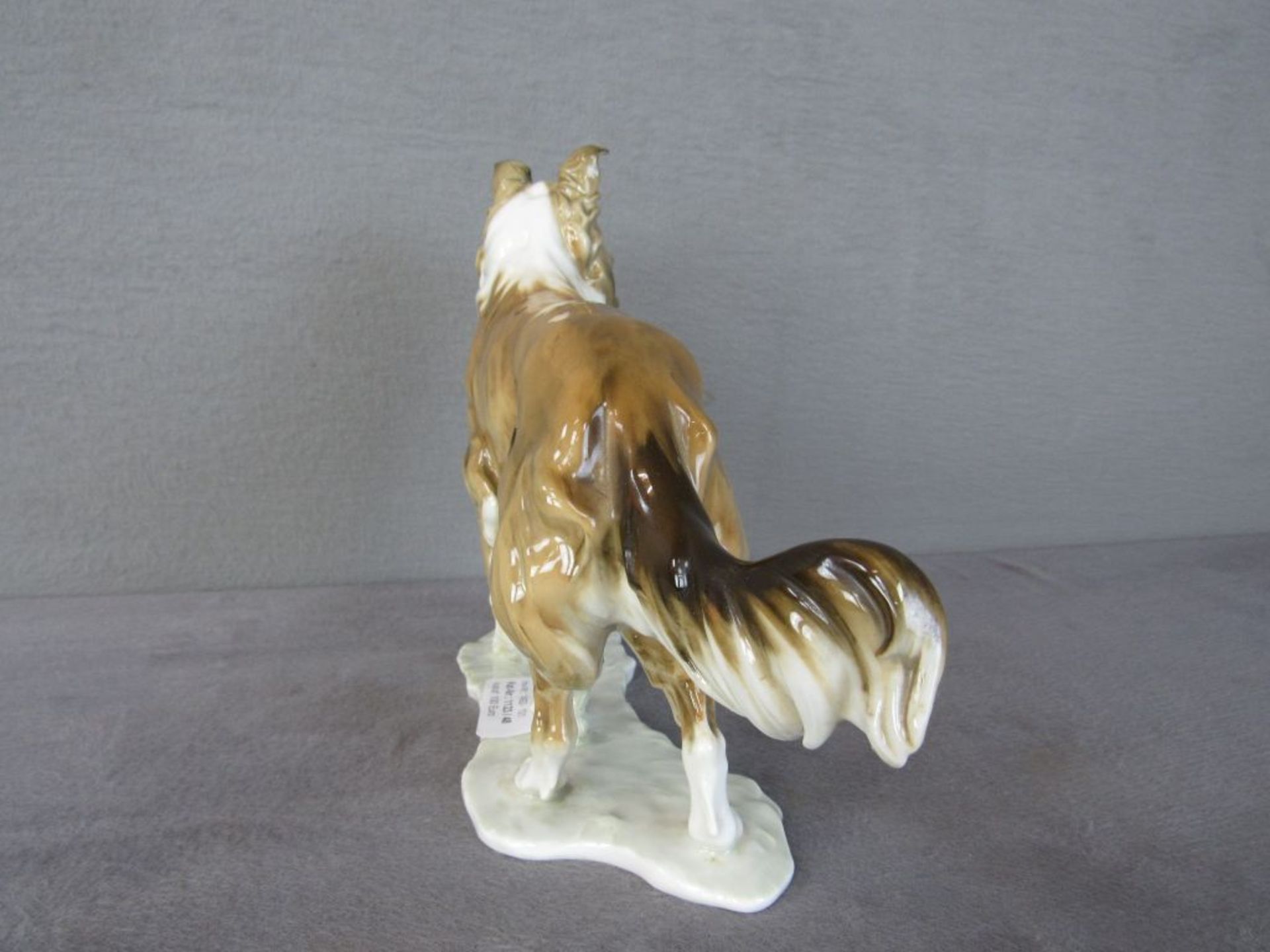 Porzellanfigur Hund Collie 24cm hoch Entwurf Hans Achtziger - Bild 2 aus 7