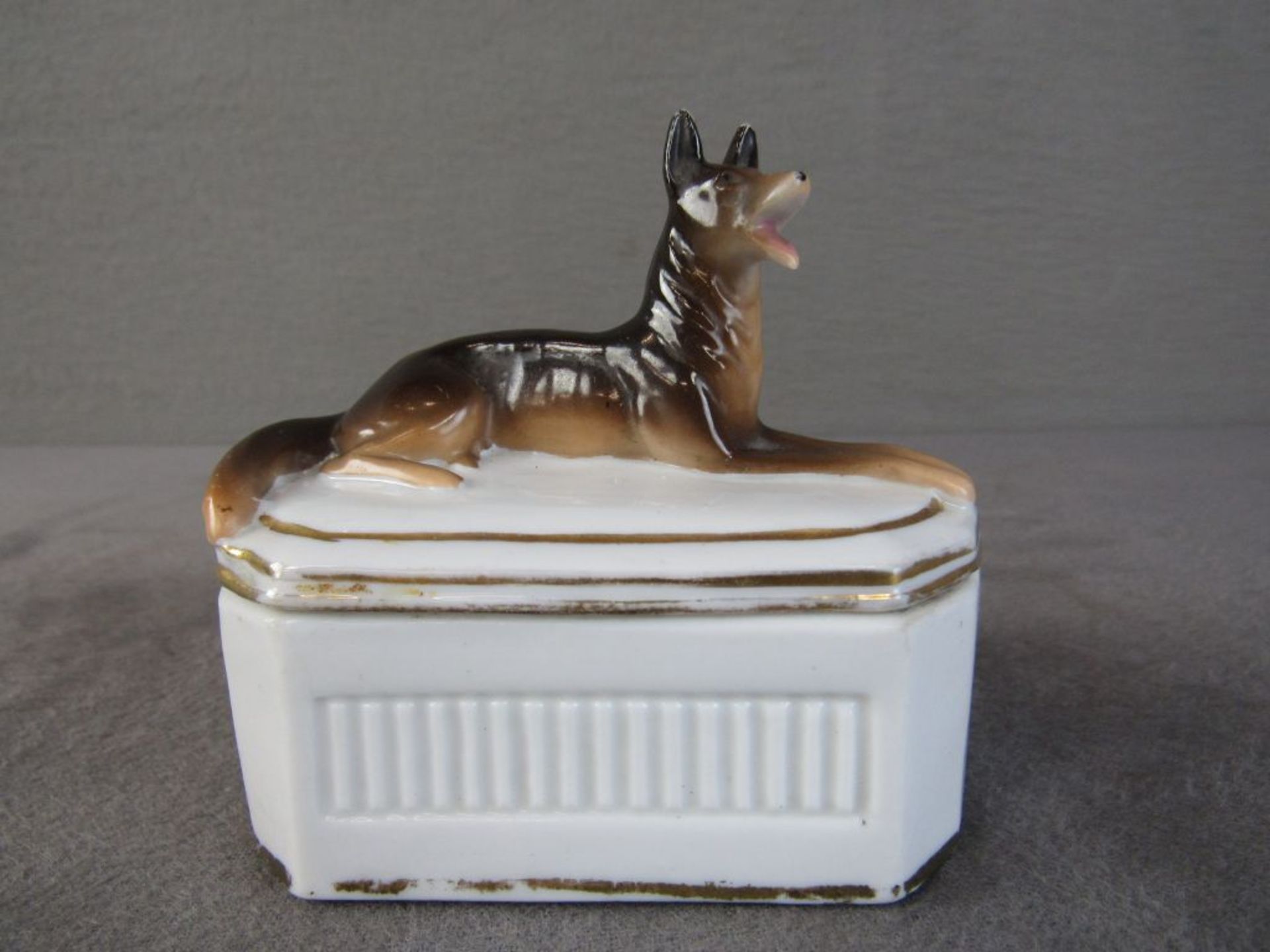 Antike Porzellan Deckeldose Schäferhund als Deckelknauf geschätzt um 1930 mit Goldstaffage