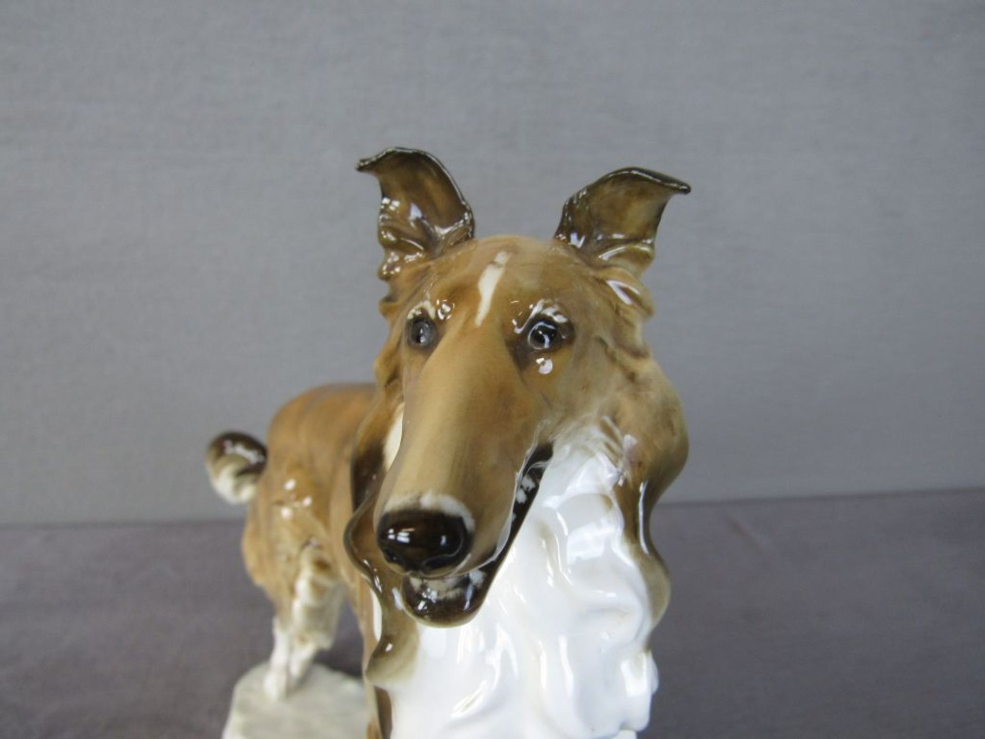 Porzellanfigur Hund Collie 24cm hoch Entwurf Hans Achtziger - Bild 6 aus 7