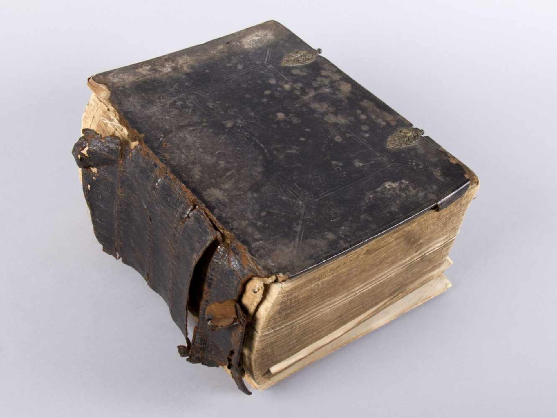 Fragment der Biblia, das ist die gantze Heilige Schrifft, Alten und Neuen Testaments, - Bild 2 aus 2