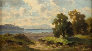Moralt, Paul. 1849 - 1923Sommerliche Voralpenlandschaft mit einem See. Öl/Holz. Sign. 11 x 19,5