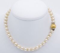 Perlencollier, 1-reihigAkoya-Zuchtperlen, unrund-leicht barock, D. ca. 9-9 mm. Verschluss aus
