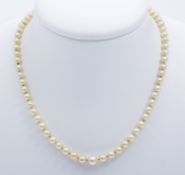 Klassisches Perlencollier, 1-reihigCremefarbene Akoya-Zuchtperlen, verlaufend, D. bis 8,29 mm.