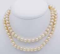 Perlenkette, 1-reihigAkoya-Zuchtperlen, unrund-leicht barock, D. ca. 9-9 mm. L. 80 cm.
