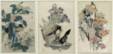 Bairei KonoVögel mit Blumen. 3 Farbholzschnitte. Oban Tate-e.