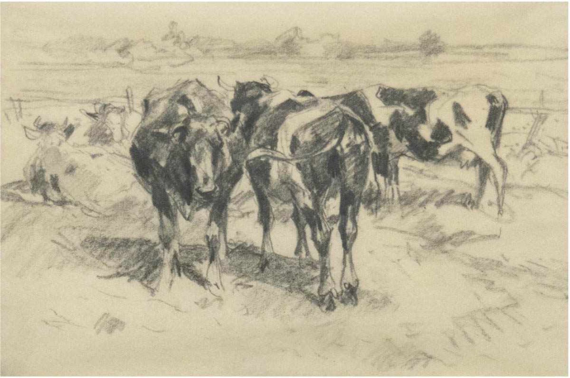 Wolf, Georg (1882-1962 Düsseldorf- Uelzen) "Kühe auf der Weide" Kohlezeichnung,