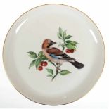 Meissen-Teller, polychrome Vogelmalerei "Eichelhäher" auf Kirschzweig, Goldrand, I. Wahl,Dm. 18 cm