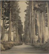 Japanischer Künstler um 1900 "Waldweg", Stoffmalerei, auf Sperrholzplatte befestigt,61x55,5 cm,