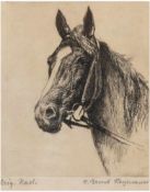 Haymann, Ernst (1873-1947 München) "Pferdekopf", Radierung, mit Bleistift signiert u.r.,11,5x9,5 cm,