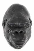 Maske des Gorillas "Knorke", halbplastischer Gipsabdruck, schwarz gefaßt, der Gorilla(1963-2003) war