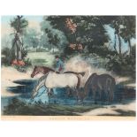 "Horses watering", englischer kolorierter Stich, 25x30,5 cm, hinter Glas im Passepartoutund Rahmen