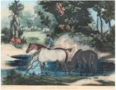 "Horses watering", englischer kolorierter Stich, 25x30,5 cm, hinter Glas im Passepartoutund Rahmen